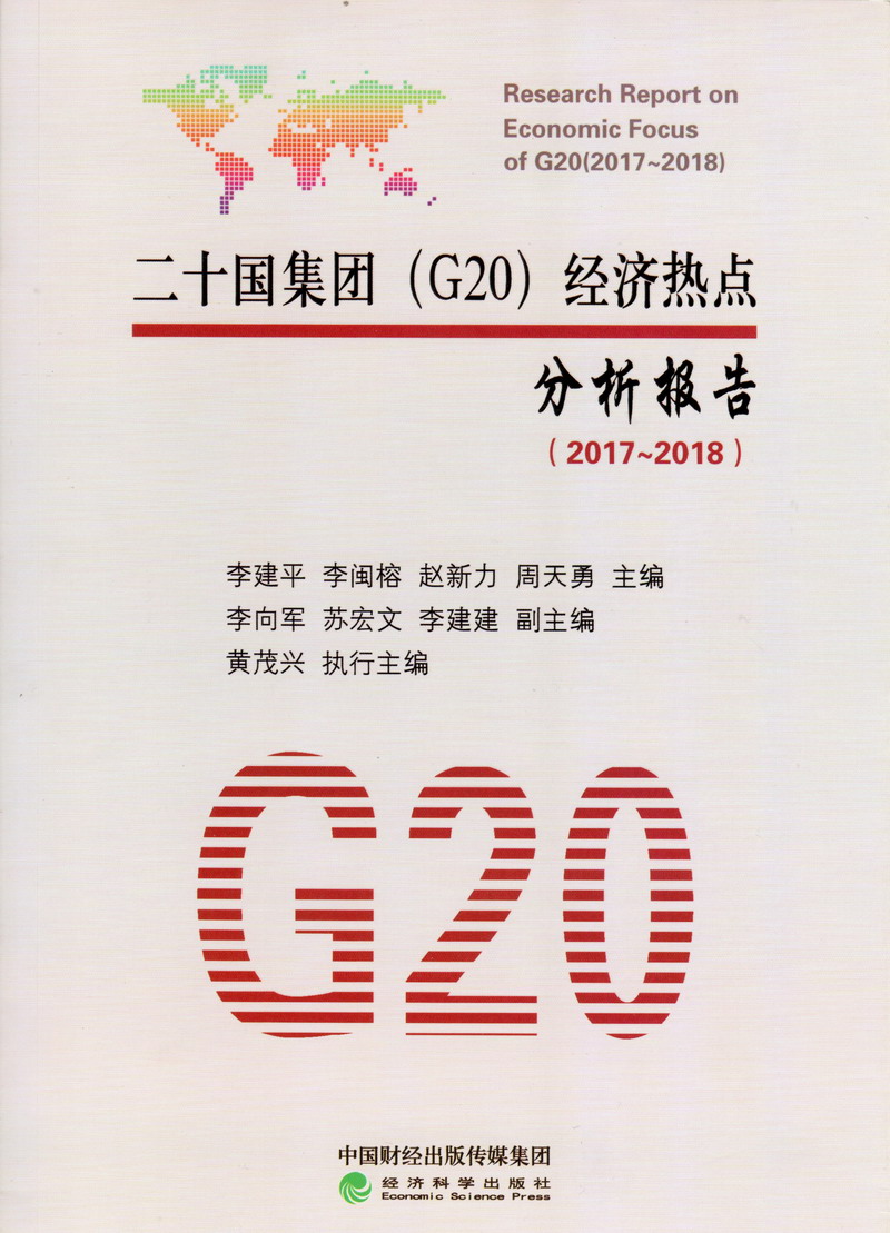 鸡巴好大日得好爽视频二十国集团（G20）经济热点分析报告（2017-2018）